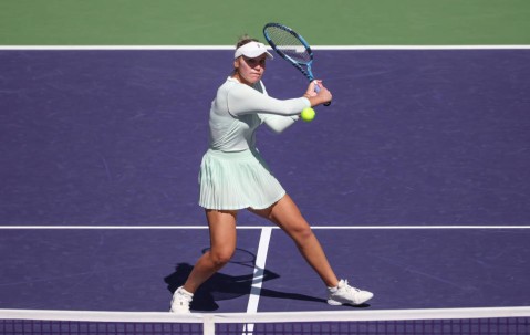 开云APP-科维托娃重返赛场，重返赛场首场状态出色，德国队观众沸腾！的简单介绍